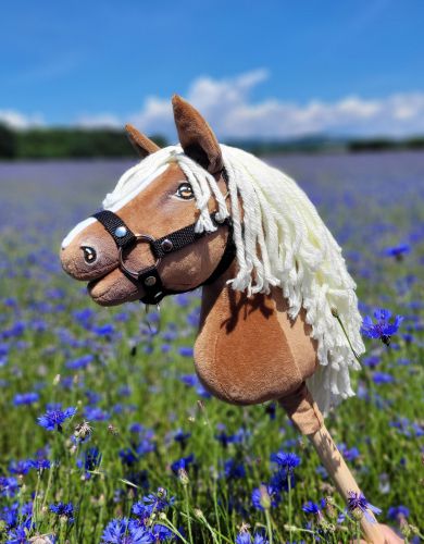 17-haflinger-hobby-horse-a4_9