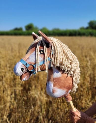 30-hobby-horse-srokaty-tobiano-bezowa-grzywa-duzy-a3_7